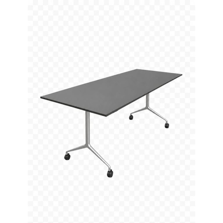 Table rectangulaire polyvalente 280x100