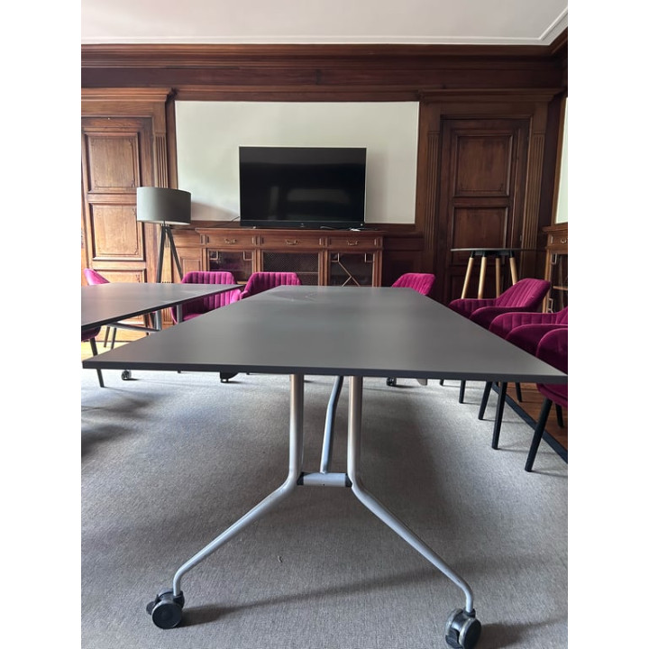Table rectangulaire polyvalente 280x100