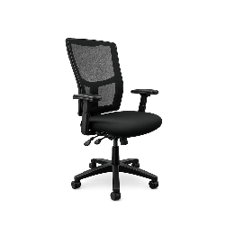 Fauteuil de bureau Ergo 2