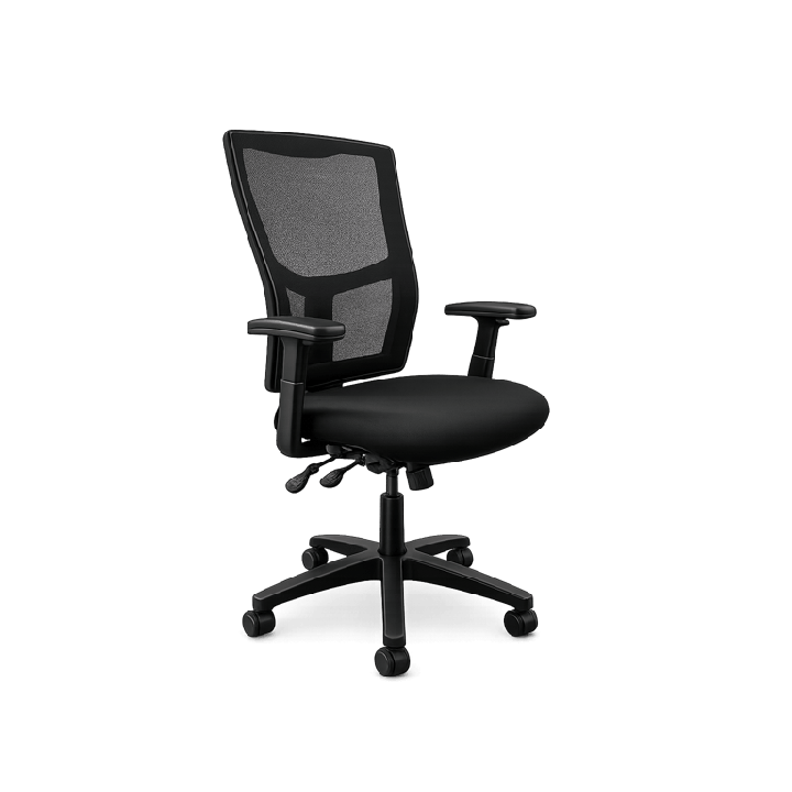 Fauteuil de bureau Ergo 2