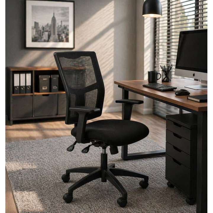 Fauteuil de bureau Ergo 2