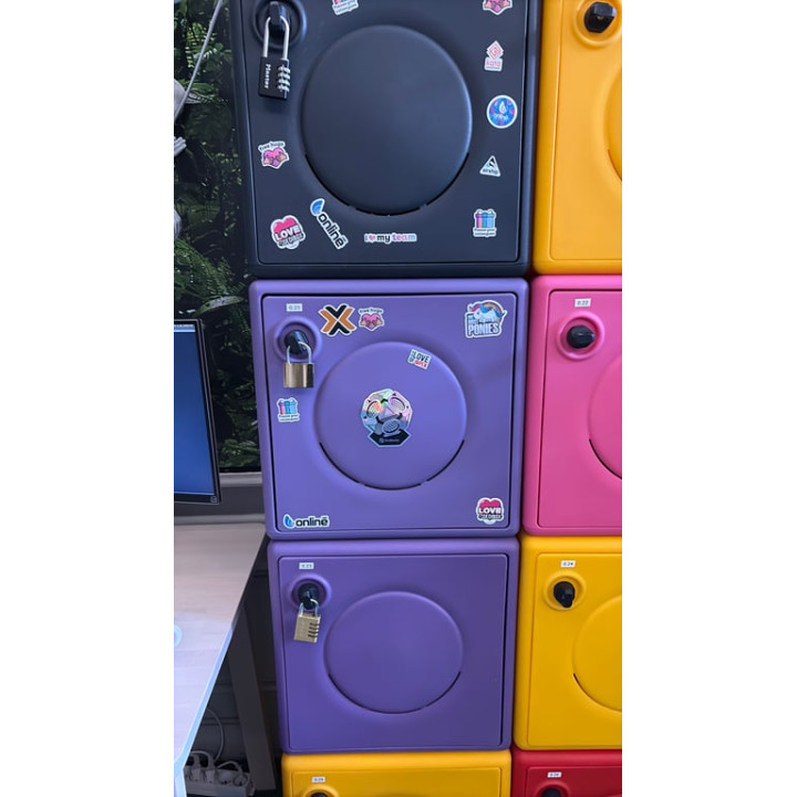Casier de Rangement en Plastique - Porte Battante avec Moraillon