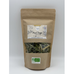 Tisane Power ginger
