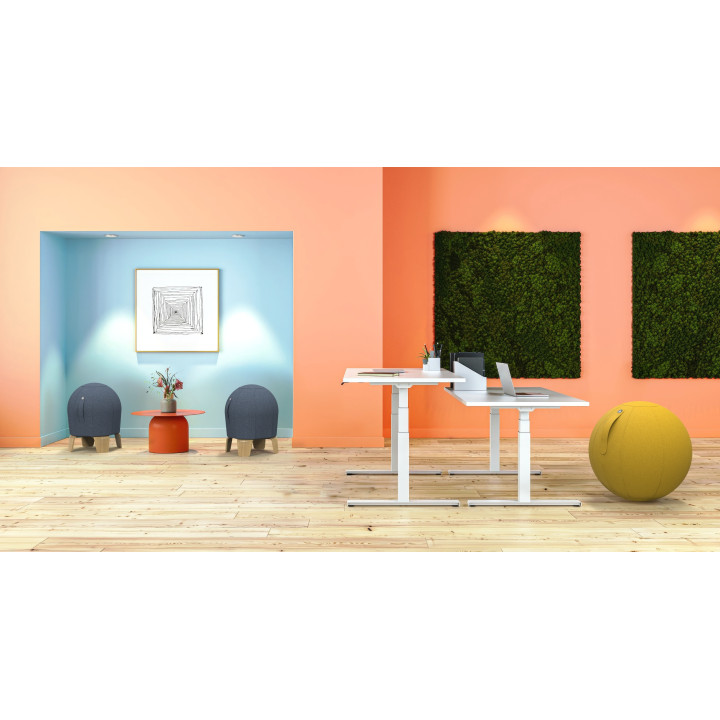 Pouf ballon ergonomique LUNA