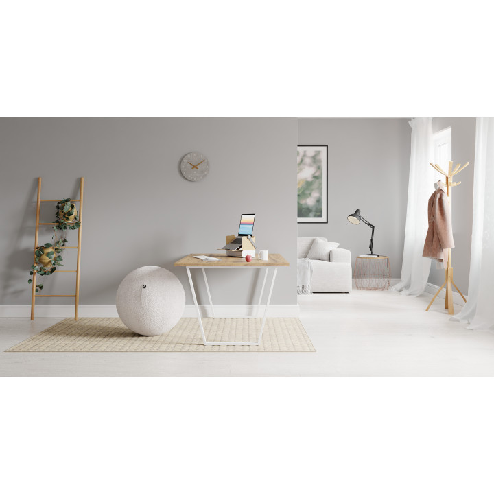 Ballon d'assise ergonomique HARMONIE